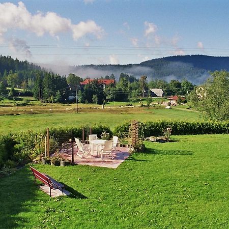 Pension Wiesengrund Hotell Schluchsee Eksteriør bilde