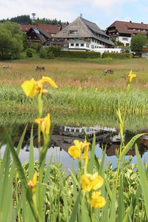 Pension Wiesengrund Hotell Schluchsee Eksteriør bilde